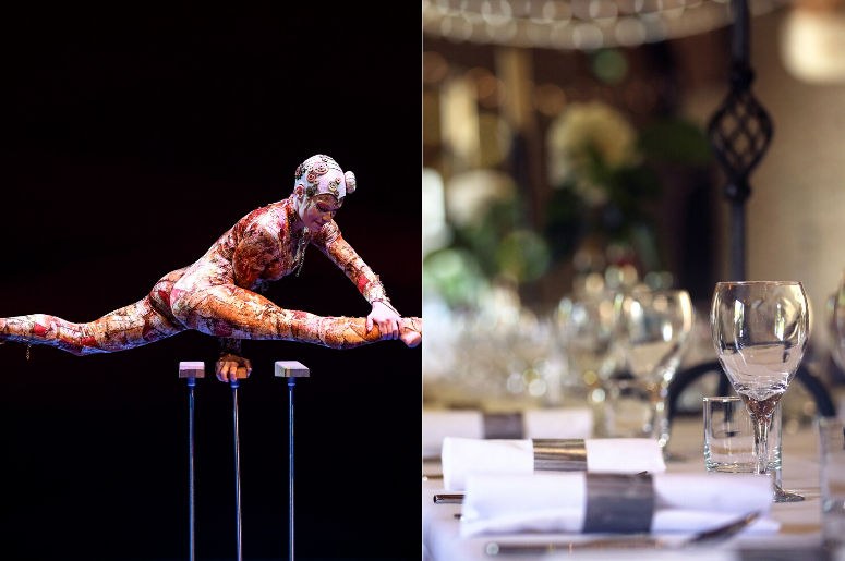 cirque du soleil