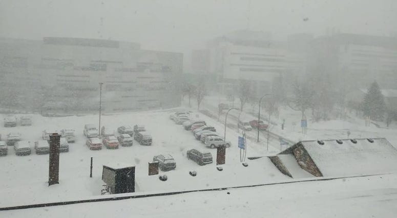Blizzard Photo via Christopher Holtz Facebook.jpg