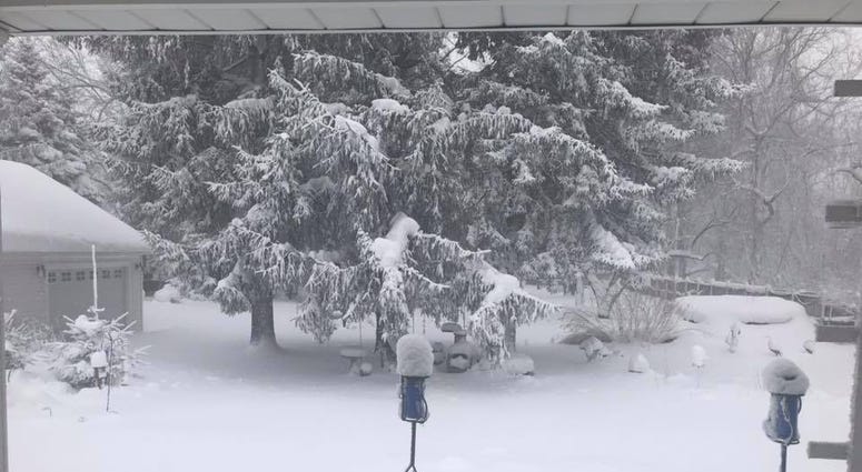 Blizzard Photo via Helen Sweeney Dvm Facebook.jpg