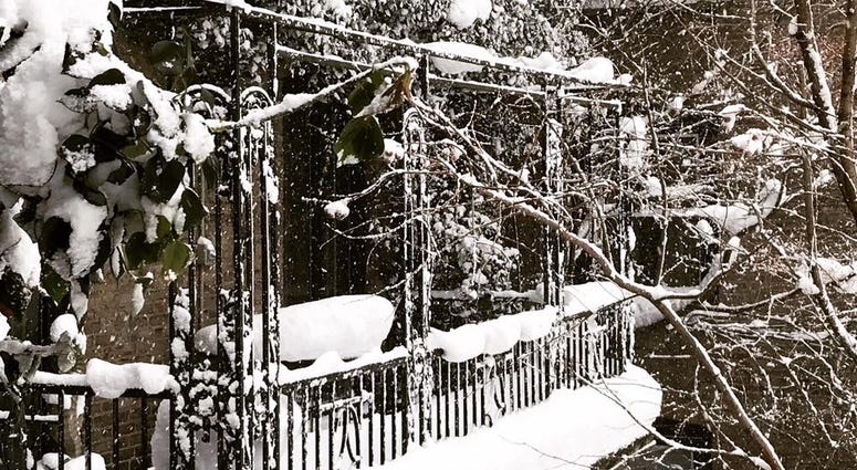Blizzard Photo via Marcia Werner Facebook.jpg
