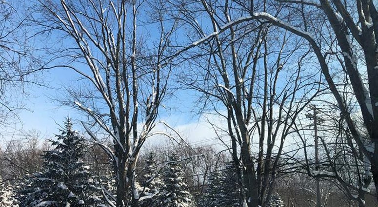 Blizzard Photo via Mary Haseltine Facebook.jpg