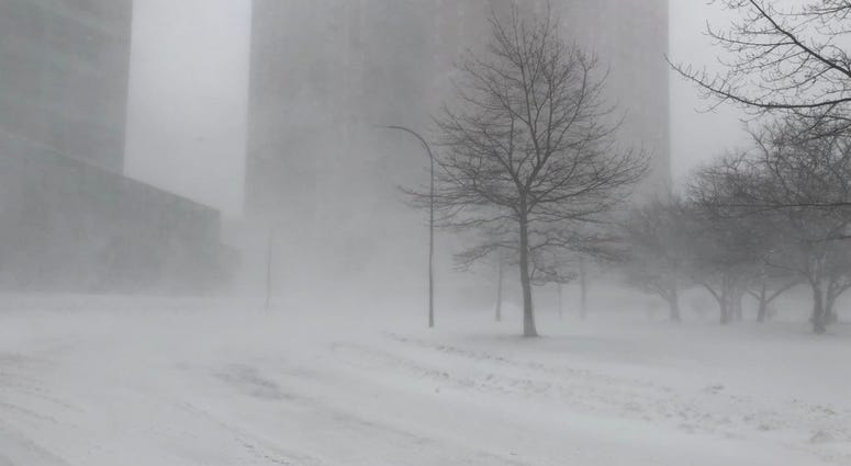Blizzard from Niagara Square in Buffalo. January 30, 2019 (WBEN Photo/Mike Baggerman)