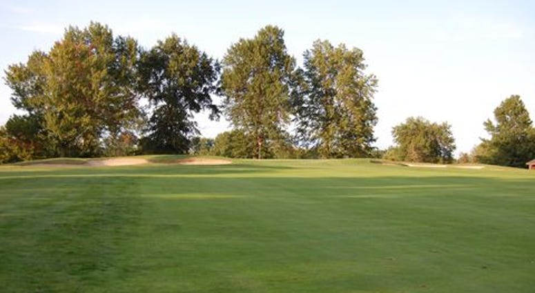 Brierwood