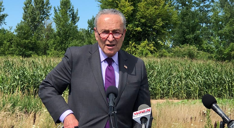 Senator Chuck Schumer in Basom, New York. July 31, 2020 (WBEN Photo/Mike Baggerman) Senator Chuck Schumer in Basom, New York. July 31, 2020 (WBEN Photo/Mike Baggerman)