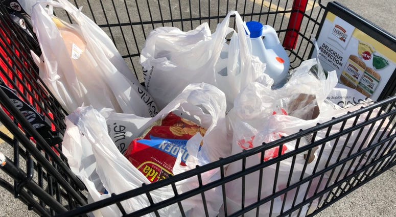 Plastic bags in a grocery cart. January 14, 2019 (WBEN Photo/Mike Baggerman)