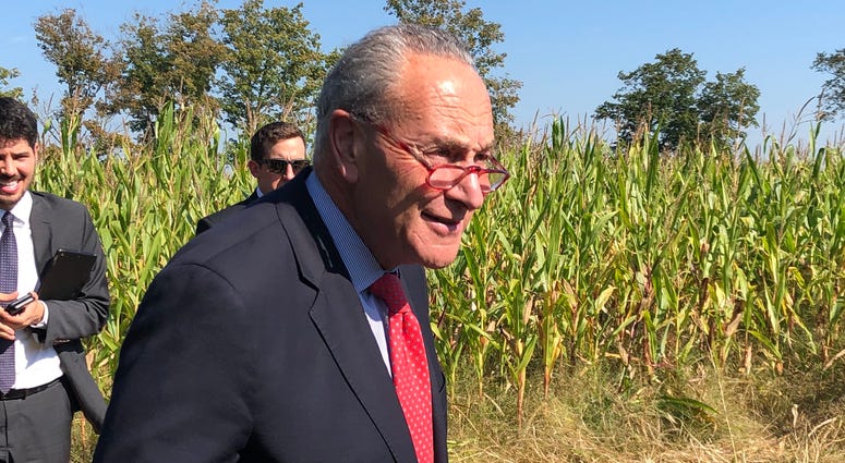 Chuck Schumer. October 1, 2019 (WBEN Photo/Mike Baggerman)