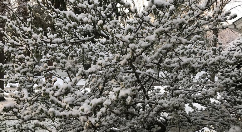 Snow
