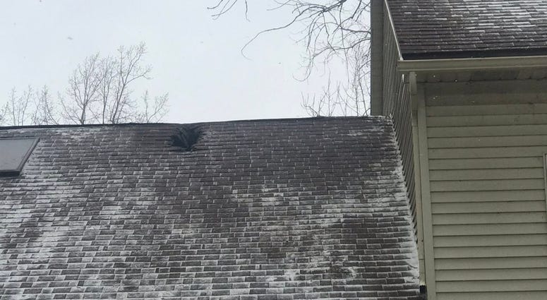 Tree damage at a home on Royal Oak Drive in Clarence. February 25, 2019 (WBEN Photo/Tim Wenger)