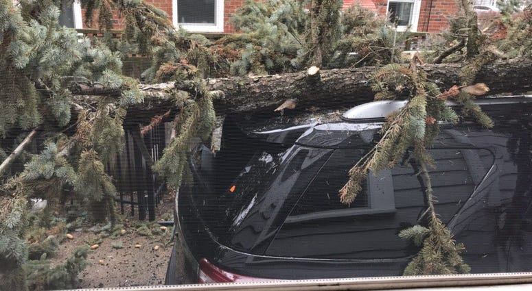 The wind storm caused some pretty serious damage around Western New York