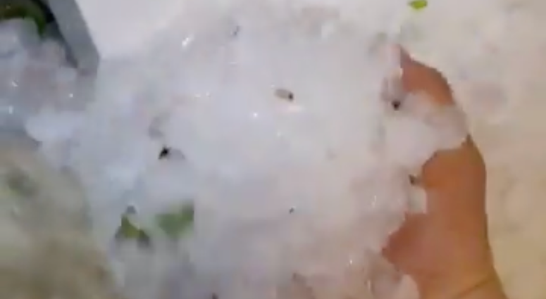 Hail by the handful