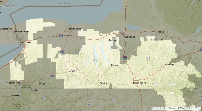 NYSEG map NYSEG map