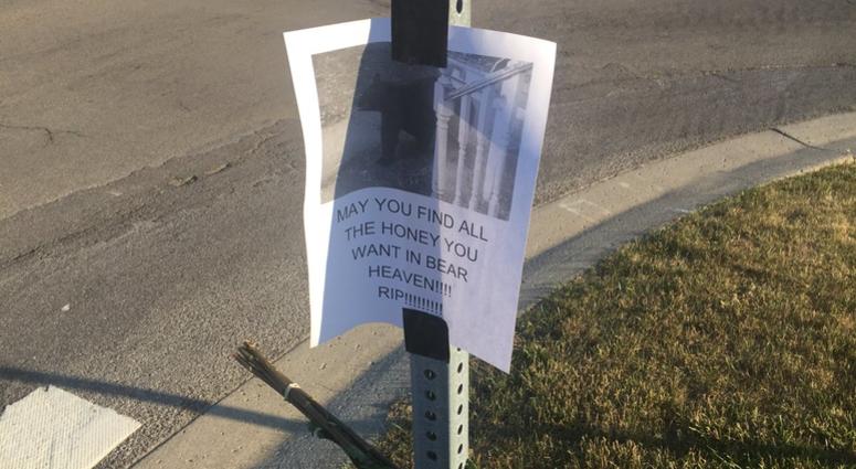 Memorial for Amherst Bear on Covent Garden Lane & Renaissance Drive in Amherst (WBEN Photo/Mike Baggerman)_