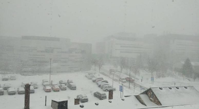 Blizzard Photo via Christopher Holtz Facebook.jpg