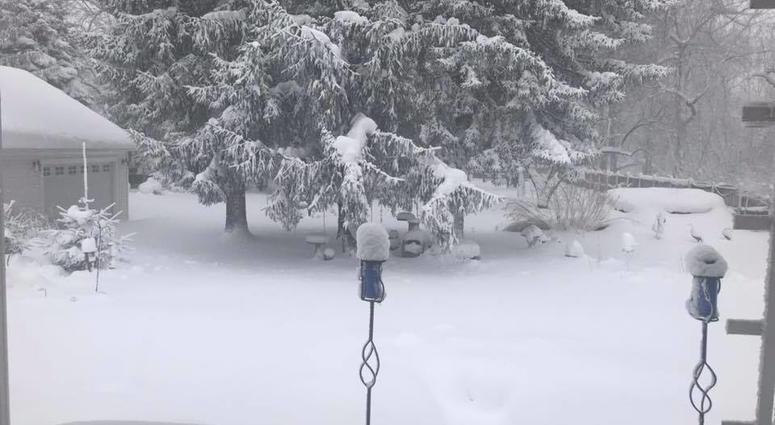 Blizzard Photo via Helen Sweeney Dvm Facebook.jpg