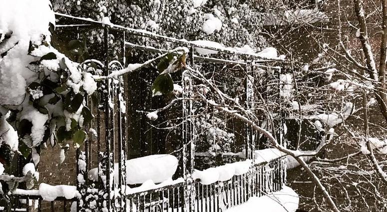 Blizzard Photo via Marcia Werner Facebook.jpg