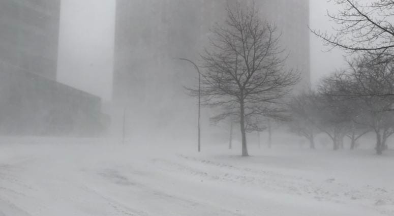 Blizzard from Niagara Square in Buffalo. January 30, 2019 (WBEN Photo/Mike Baggerman)
