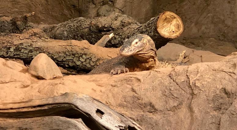 Buffalo Zoo's Donna M. Fernandes Amphibian and Reptile Center at the Buffalo Zoo. May 22, 2019 (WBEN Photo/Mike Baggerman)