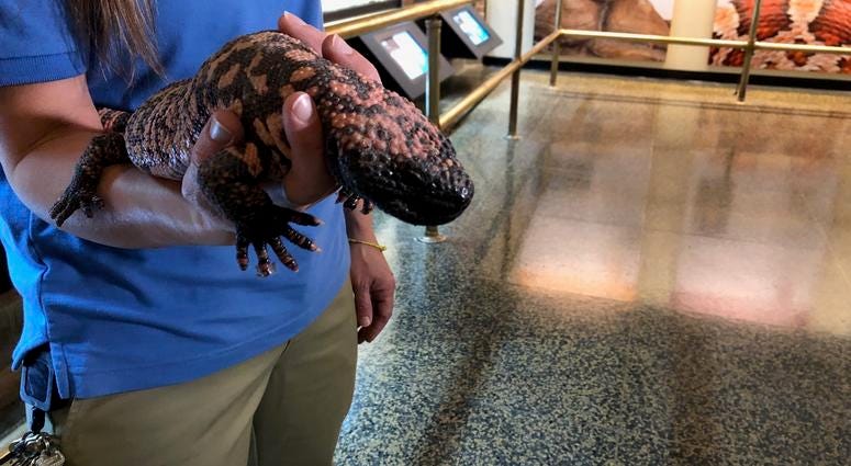 Buffalo Zoo's Donna M. Fernandes Amphibian and Reptile Center at the Buffalo Zoo. May 22, 2019 (WBEN Photo/Mike Baggerman)
