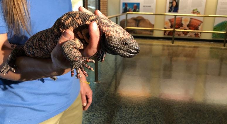 Buffalo Zoo's Donna M. Fernandes Amphibian and Reptile Center at the Buffalo Zoo. May 22, 2019 (WBEN Photo/Mike Baggerman)