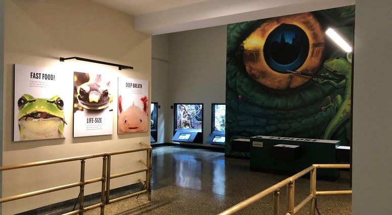 Buffalo Zoo's Donna M. Fernandes Amphibian and Reptile Center at the Buffalo Zoo. May 22, 2019 (WBEN Photo/Mike Baggerman)