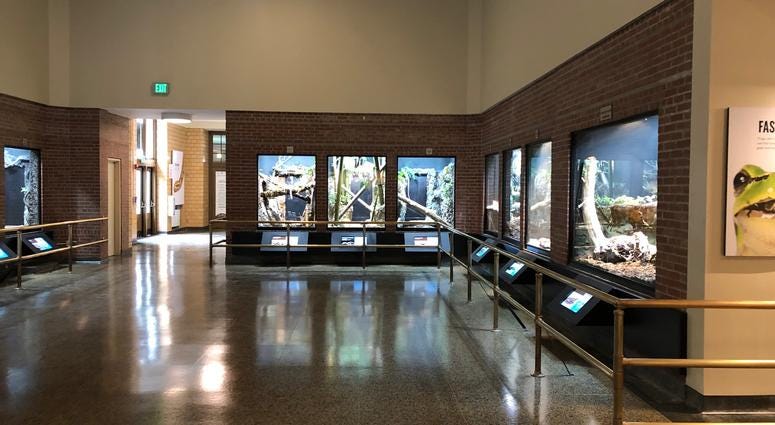 Buffalo Zoo's Donna M. Fernandes Amphibian and Reptile Center at the Buffalo Zoo. May 22, 2019 (WBEN Photo/Mike Baggerman)
