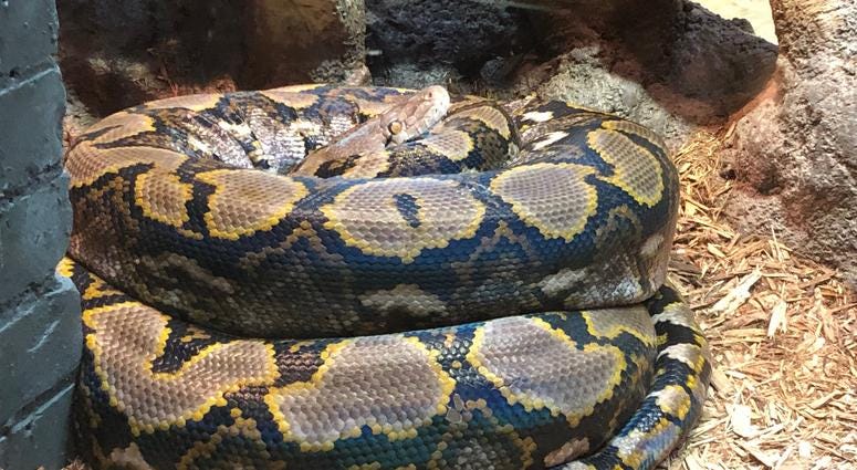 Buffalo Zoo's Donna M. Fernandes Amphibian and Reptile Center at the Buffalo Zoo. May 22, 2019 (WBEN Photo/Mike Baggerman)