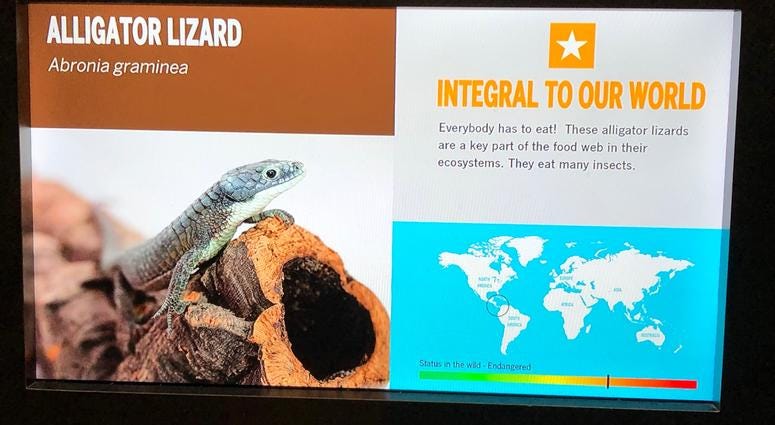 Buffalo Zoo's Donna M. Fernandes Amphibian and Reptile Center at the Buffalo Zoo. May 22, 2019 (WBEN Photo/Mike Baggerman)