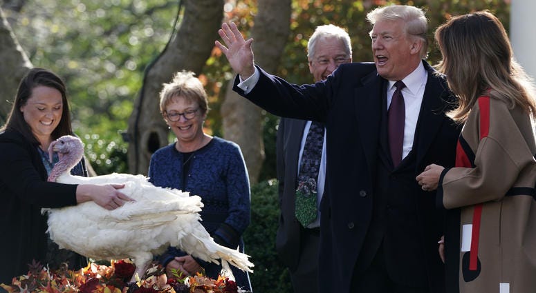 President Trump pardons Thanksgiving turkey