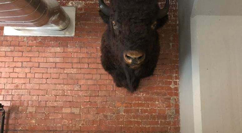 Inside Labatt House on Perry Street in Buffalo. November 15, 2018 (WBEN Photo/Mike Baggerman)