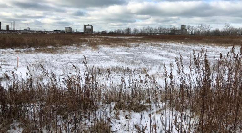 47-Acre parcel at Buffalo Lakeside Commerce Park where a Cannabis Campus will be developed if New York State passes legislation on legalizing marijuana. January 11, 2019 (WBEN Photo/Mike Baggerman)