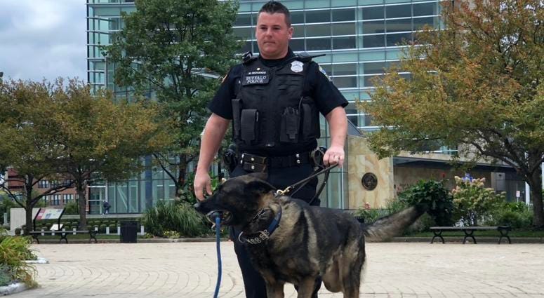 Matthew Richards walking with Shield. The dog, 5, was the former partner of Craig Lehner, who died during a training mission in the Niagara River on October 13, 2017. October 12, 2018 (WBEN Photo/Mike Baggerman)