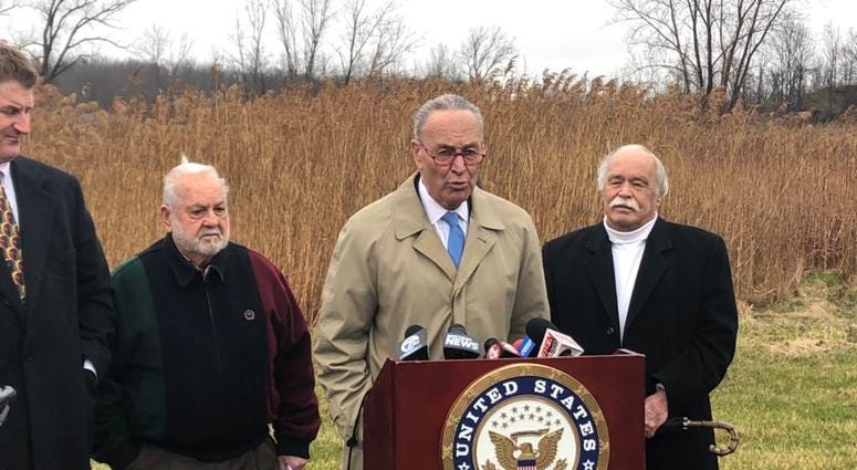 Senator Chuck Schumer calling for complete clean-up of Niagara Falls Storage Site