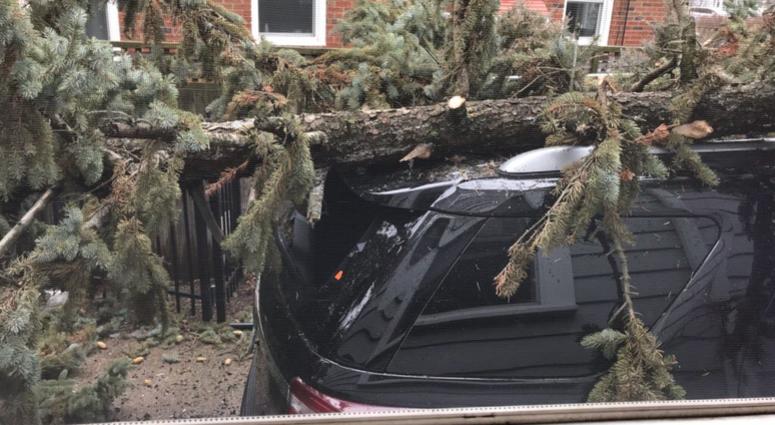 The wind storm caused some pretty serious damage around Western New York