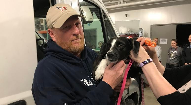 SPCA Serving Erie County