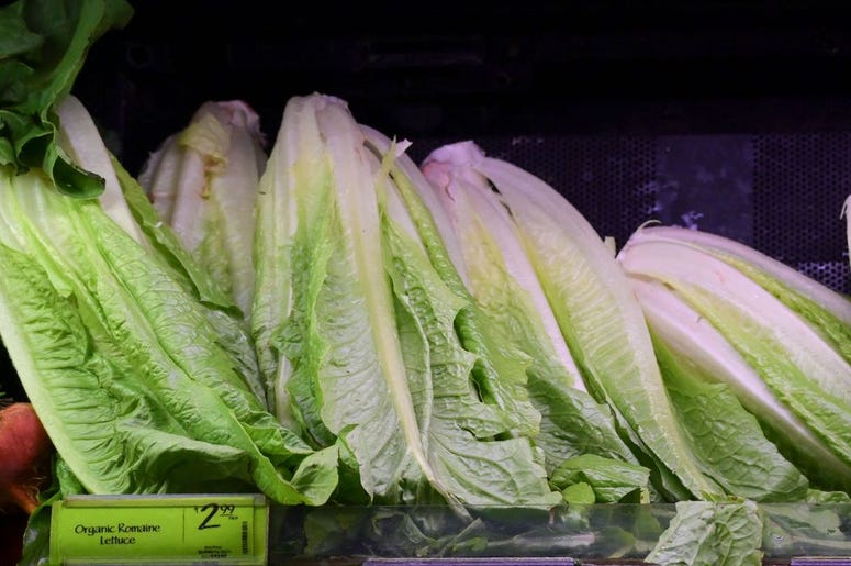 Lettuce