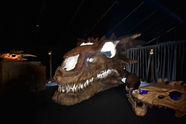 Giant Dragon Skull Giant Dragon Skull