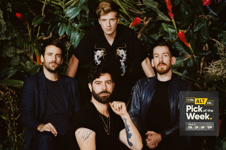 Foals