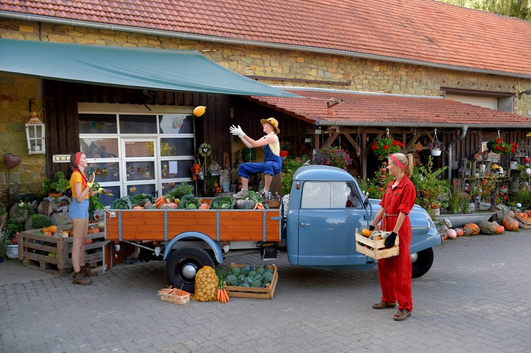 Fall Market