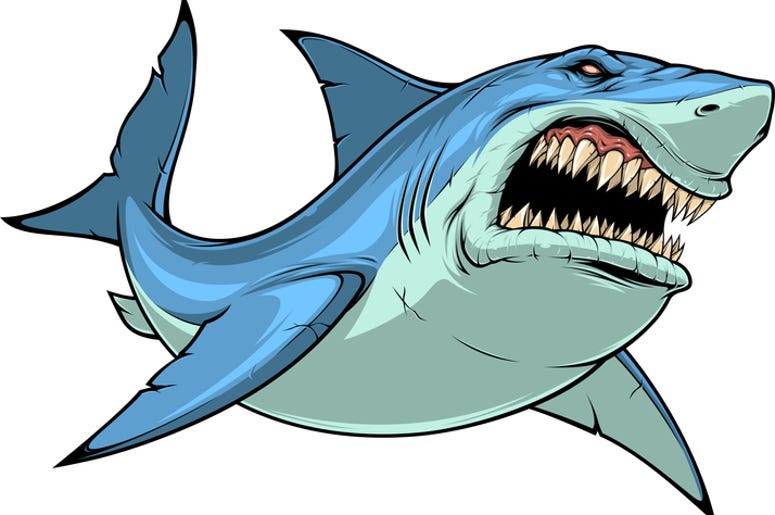 shark