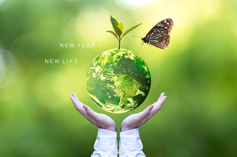 Sustainable 2020
