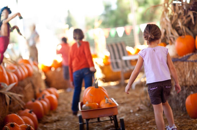 Fall Festival