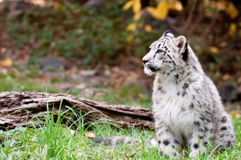 Zoo