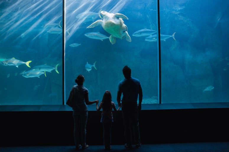 Aquarium