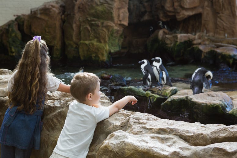 Zoo