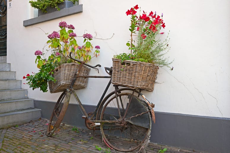 Recycled, reused bicycle as flower box
