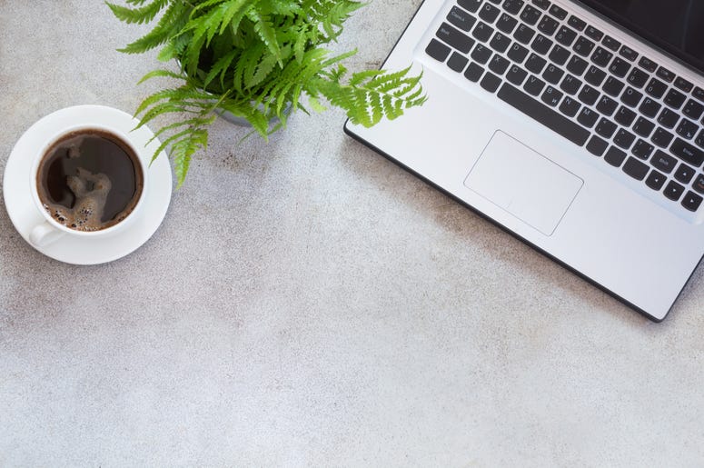 Office Plant
