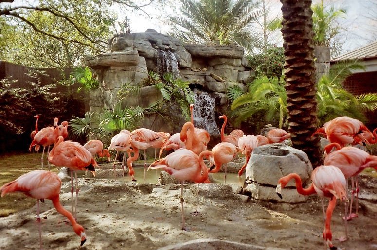 Zoo