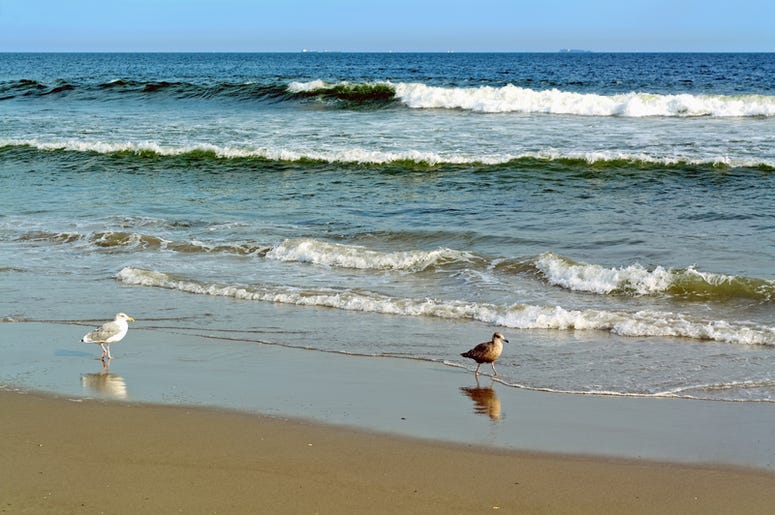 New York Beach New York Beach
