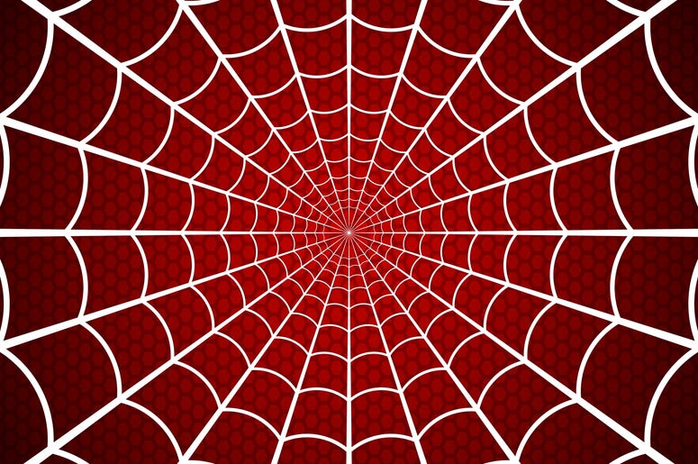 Spider's Web on Red Background Spider's Web on Red Background