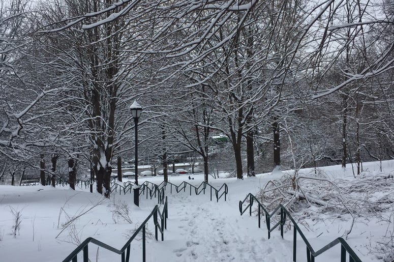 Snow Day snow day